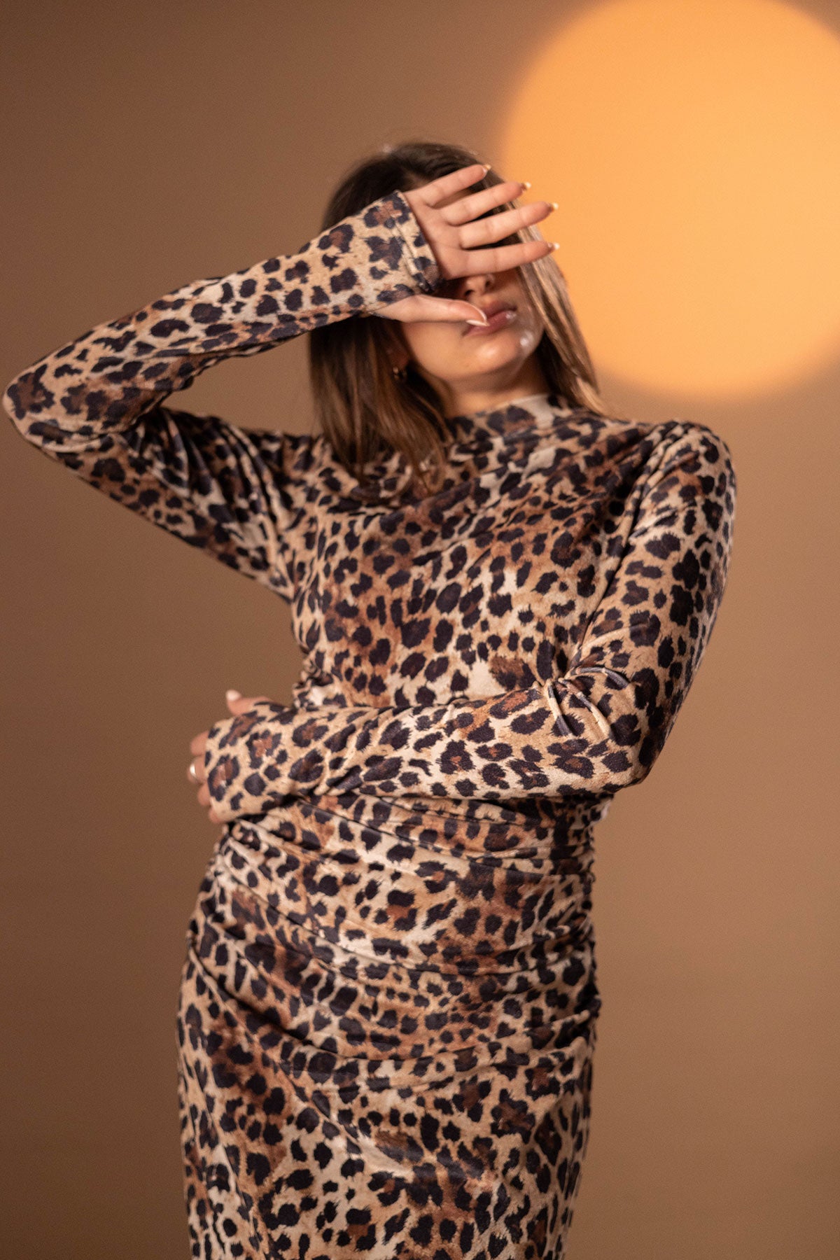 Brown Leopard Winter Dress