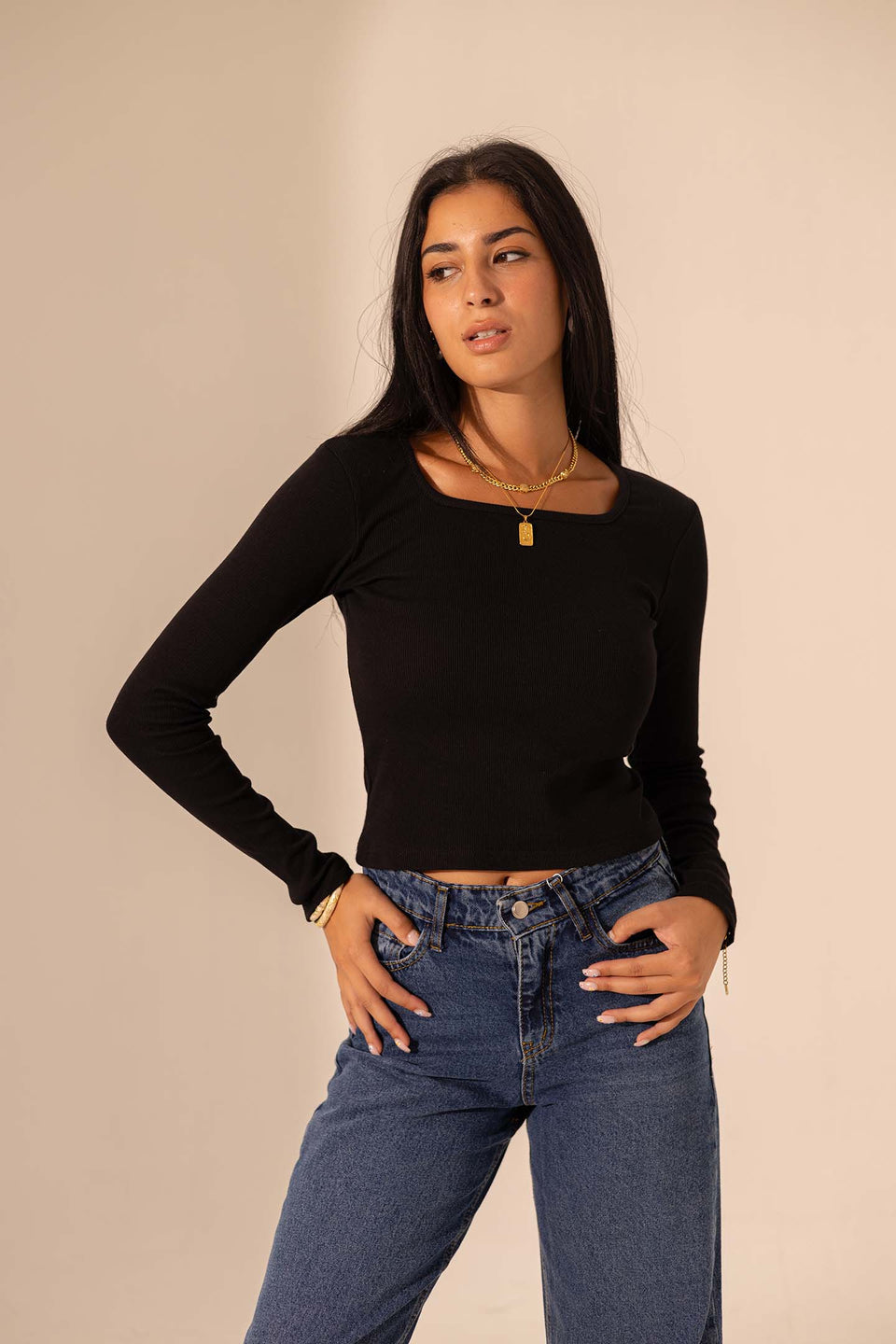 Black Ribbed Long Sleeve Scoop Neck Basic
