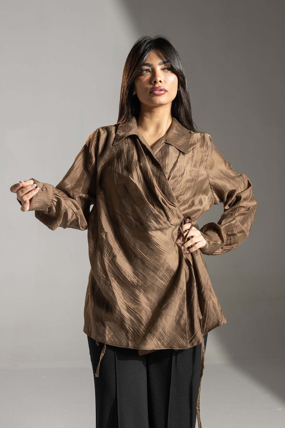 Brown Tied Elegant Blouse