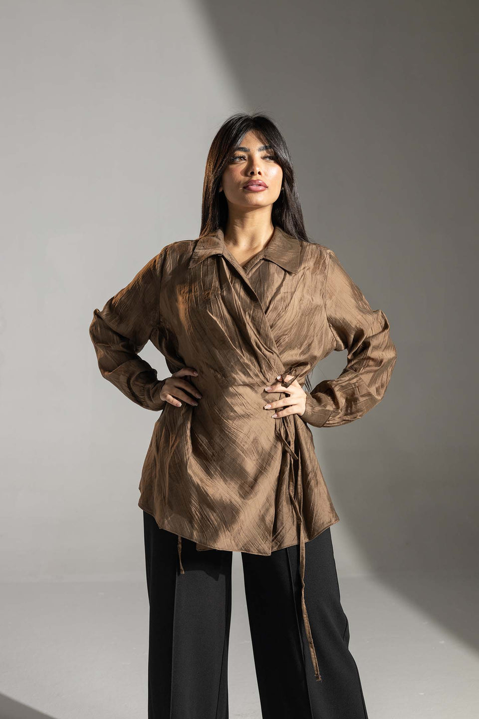 Brown Tied Elegant Blouse