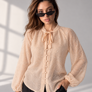 Beige Sparkle Embroidered blouse